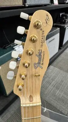 James Burton Blue Paisley 2
